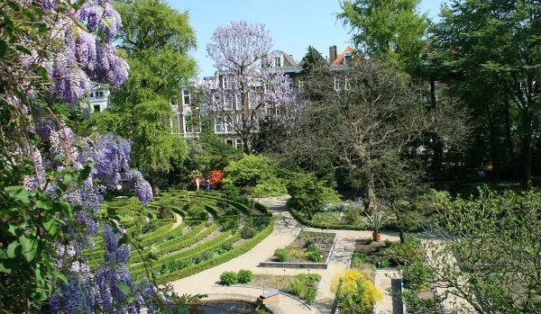Hortus Botanicus Amsterdam