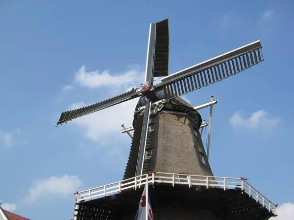 Korenmolen, Pelmolen en Houtzaagmolen 'de Zwaluw'
